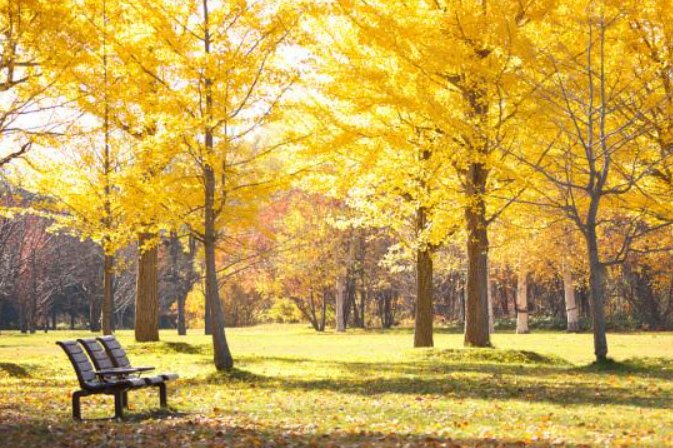 三年级仿写听听秋的声音怎么写?