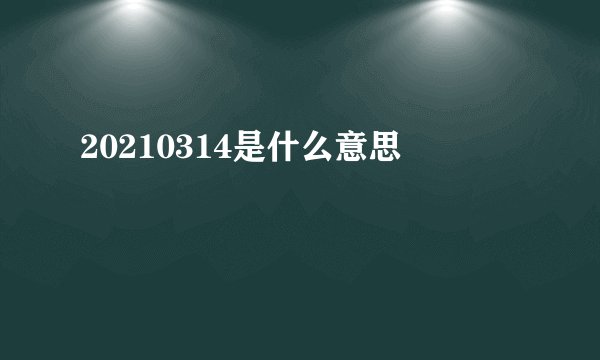 20210314是什么意思