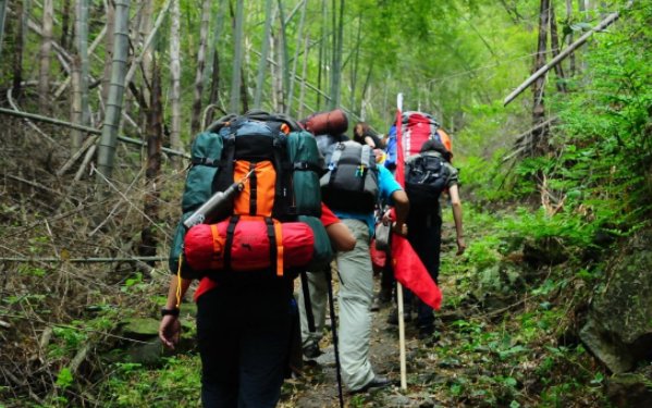 驴友是什么意思？