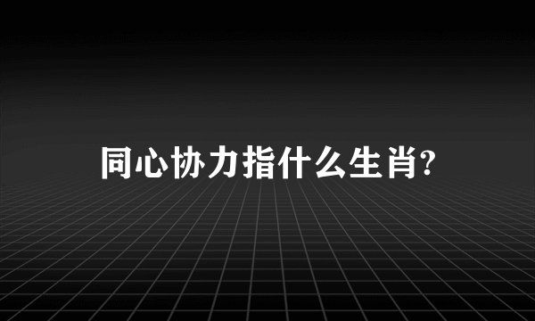 同心协力指什么生肖?