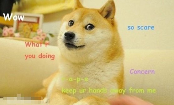 网络语doge是什么意思？