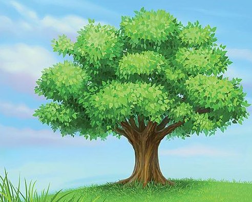 大树又粗又壮就像什么，如何补充完整句子？