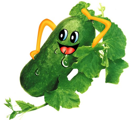 女生怎么瘦脸？