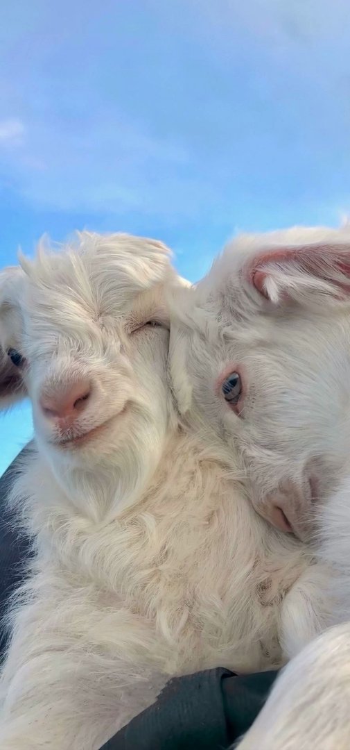 相亲哪个网站靠谱？