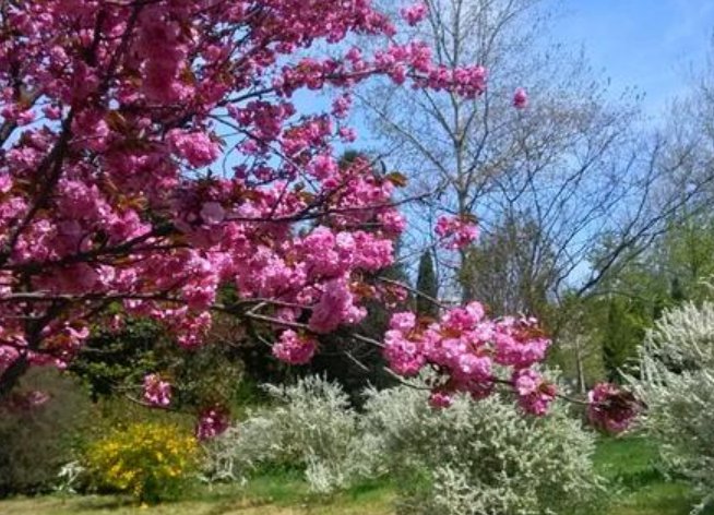 “一支独放不是春，万紫千红春满园”出自哪里