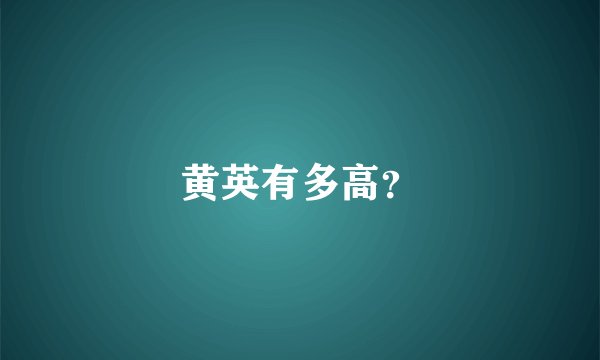 黄英有多高？