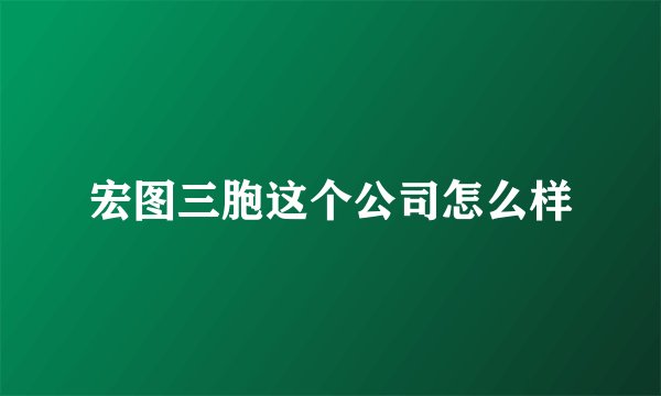 宏图三胞这个公司怎么样