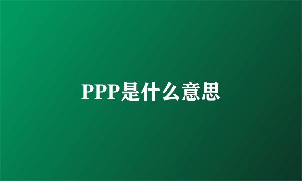 PPP是什么意思