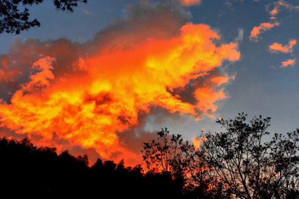 北京延庆发生森林火灾，为免灾难重现究竟该如何正确预防森林火灾？