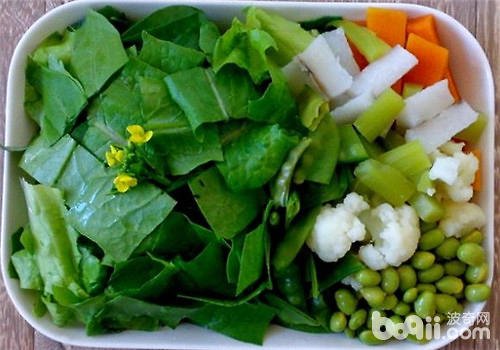 如何养好绿鬣蜥?急!