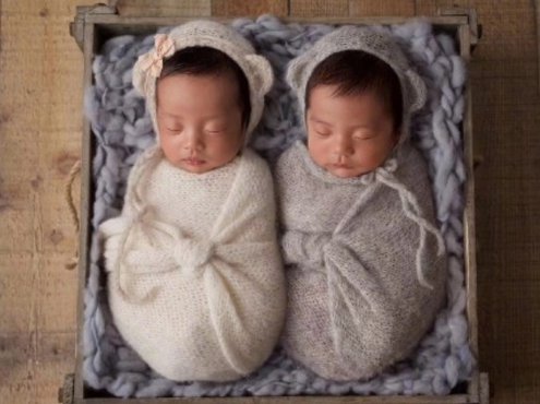 张雨绮几个宝宝?