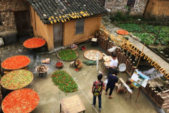 乡村生活描写乡村的生活怎样？