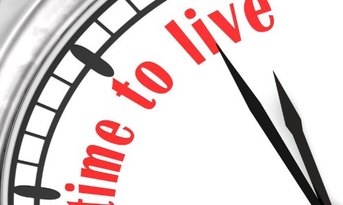 ppl和ttl分别是什么意思