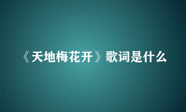 《天地梅花开》歌词是什么