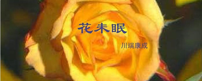 凌晨四点钟我看到海棠花未眠下一句是什么?