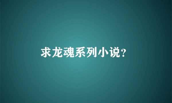 求龙魂系列小说？