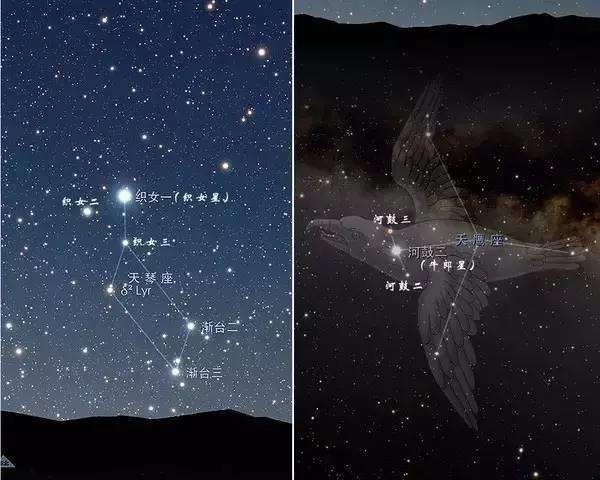 织女星位于哪个星座？