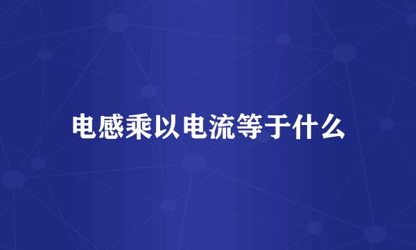 电感乘以电流等于什么