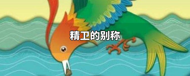 志鸟和誓鸟的含义是什么？