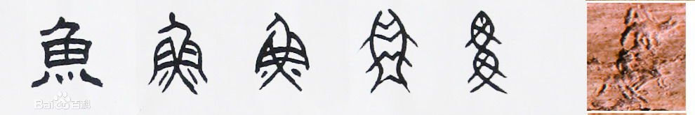 “鱼儿在水里游来游去”的拼音声调是什么？