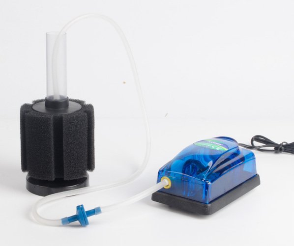 鱼缸水妖精的作用是什么？