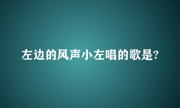 左边的风声小左唱的歌是?
