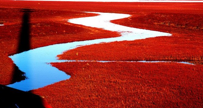 照样子。蓝得（透明），红得（），黑得（）