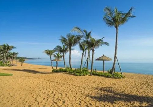 金色的什么怎么填空?