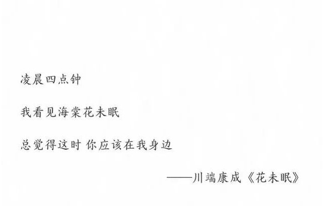 凌晨四点钟我看到海棠花未眠下一句是什么?
