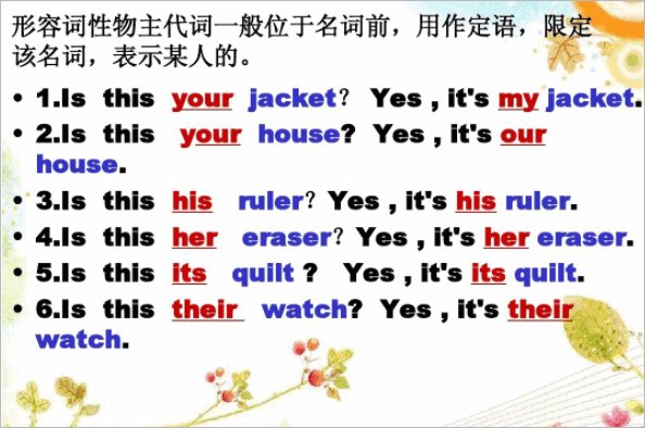 my、you、your选不同选my对吗