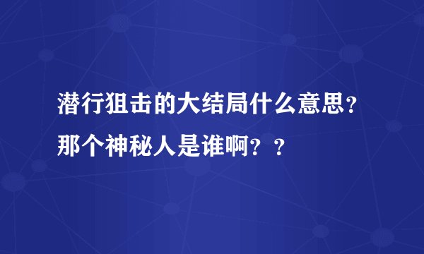 潜行狙击的大结局什么意思？那个神秘人是谁啊？？