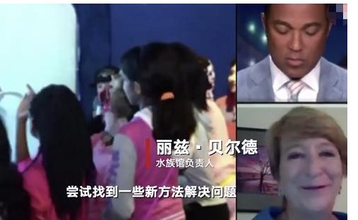 资金告急许愿池救急，网友却称这种行为不正当？