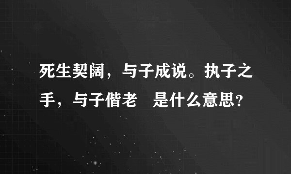 死生契阔，与子成说。执子之手，与子偕老   是什么意思？