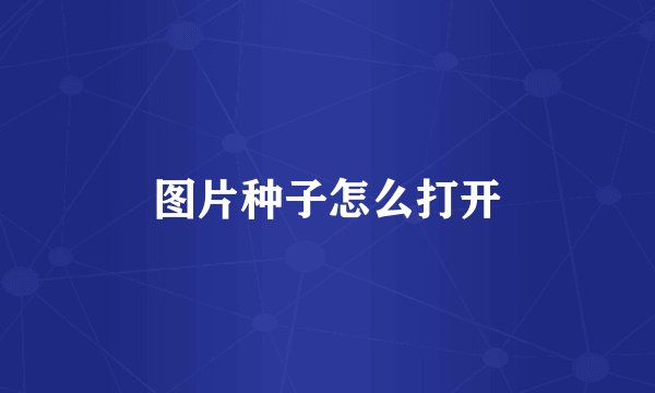 图片种子怎么打开