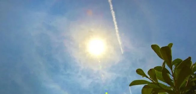 15个天然指南针有哪些