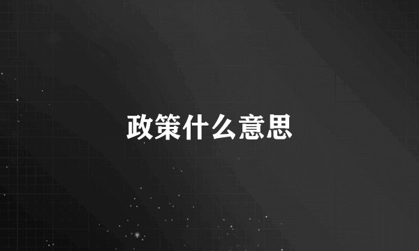 政策什么意思