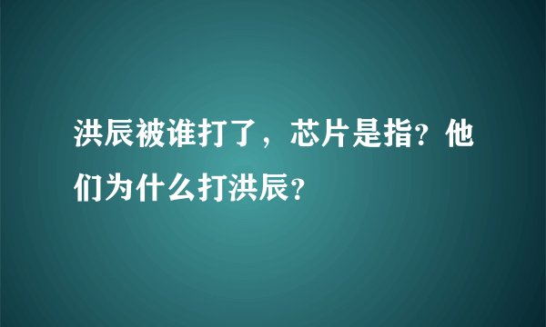 洪辰被谁打了，芯片是指？他们为什么打洪辰？