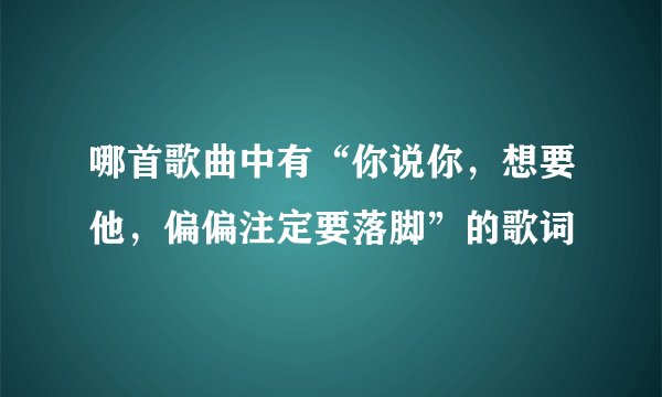 哪首歌曲中有“你说你，想要他，偏偏注定要落脚”的歌词