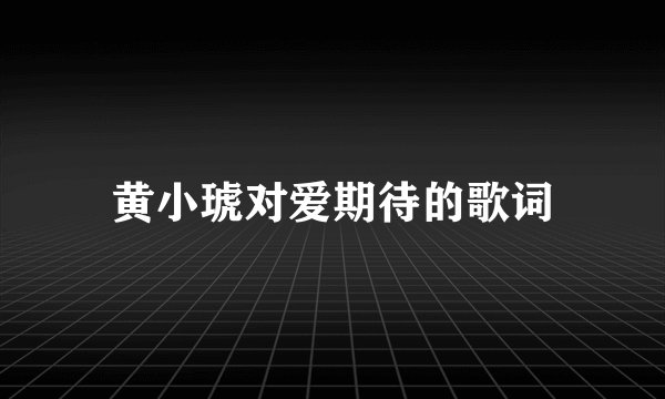 黄小琥对爱期待的歌词