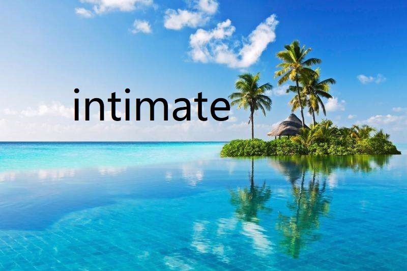 intimate是什么意思