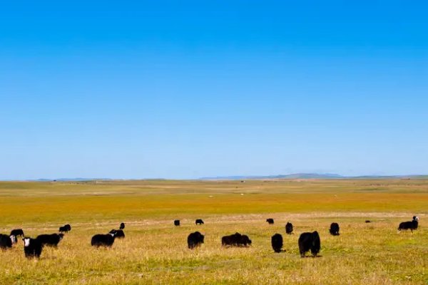 若尔盖草原海拔多少米