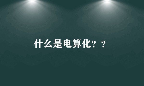 什么是电算化？？