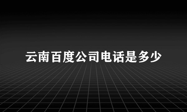 云南百度公司电话是多少