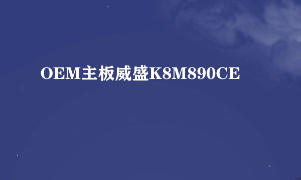 OEM主板威盛K8M890CE