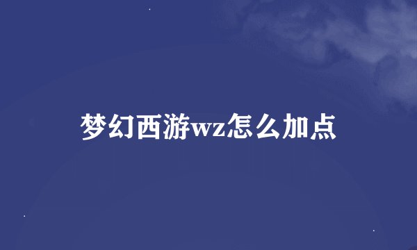 梦幻西游wz怎么加点