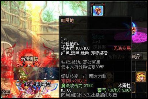 求dnf可交易宠物排行，有哪些比较靠前的？