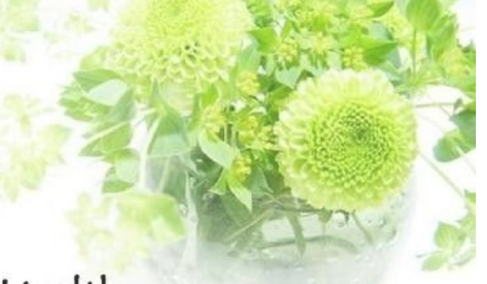 如何才能过一个高品质的生活？