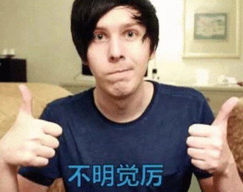 不明觉厉什么意思?