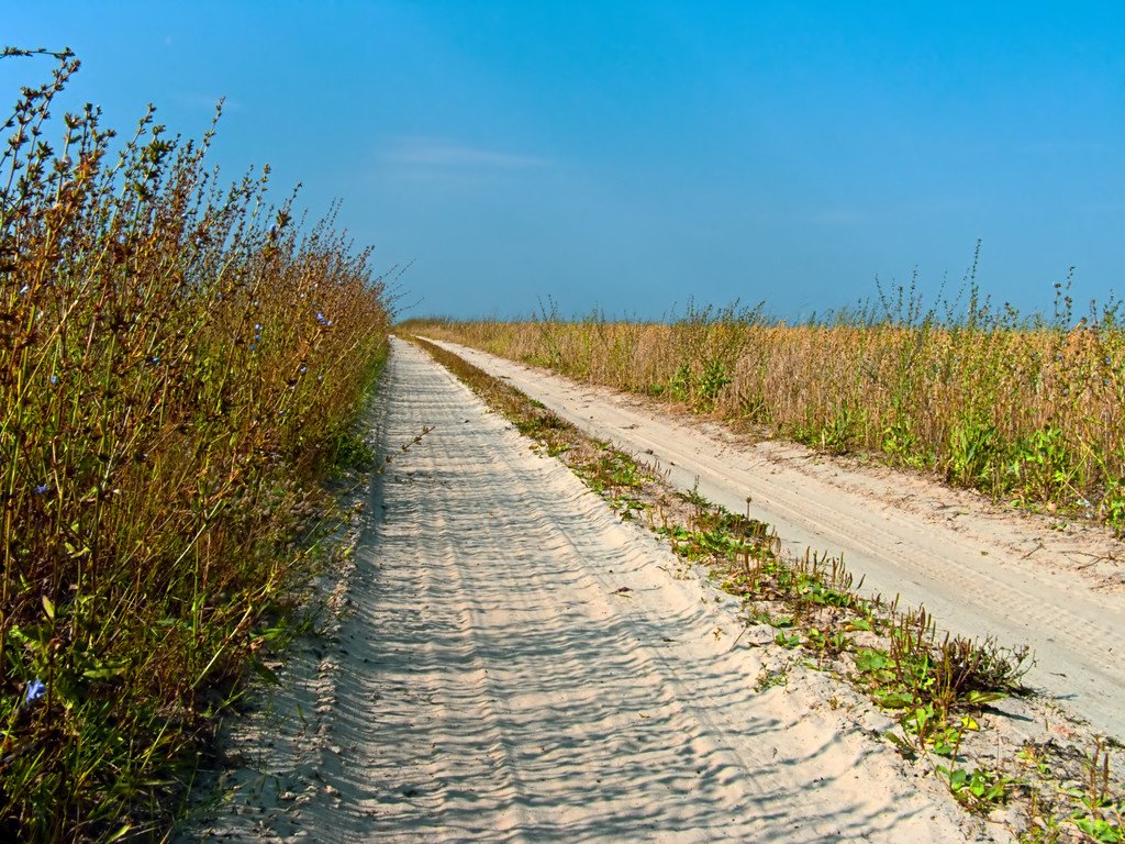 安徽蒙城县较大交通事故已致6人死亡，事故的责任将由谁来承担？