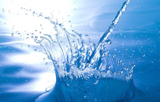 家里放一物绝对没老鼠